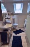 bathroom, sink, floor, indoor, plumbing fixture, shower, tap, window, mirror, countertop, kitchen, bathroom accessory, toilet